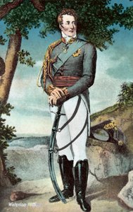 Waterloo 1815, Wellington by European School